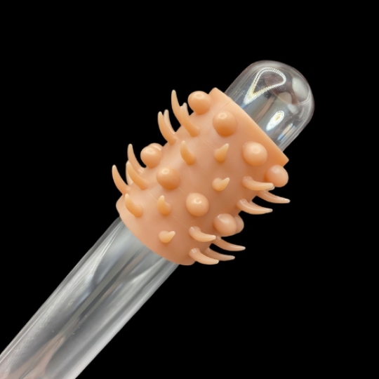 bao đôn khúc siêu gai và bi