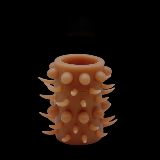 bao đôn khúc siêu gai và bi