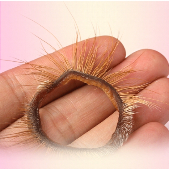 Vòng lông mắt cừu - kích thích hơn.